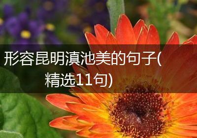 形容昆明滇池美的句子(精选11句)
