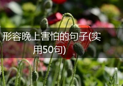 形容晚上害怕的句子(实用50句)