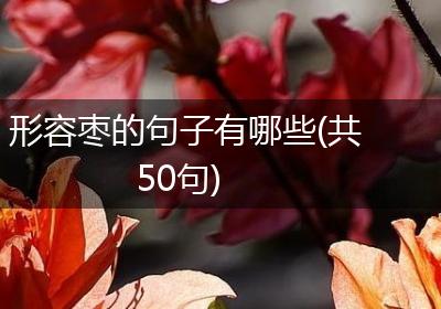 形容枣的句子有哪些(共50句)