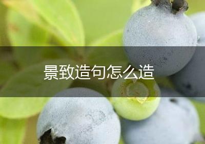 景致造句怎么造