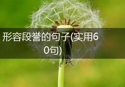 形容段誉的句子(实用60句)