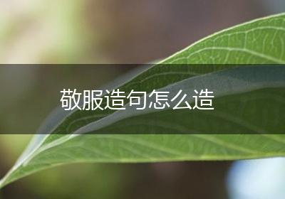 敬服造句怎么造
