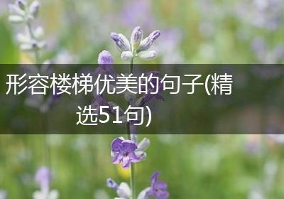形容楼梯优美的句子(精选51句)