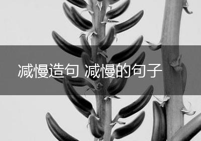 减慢造句 减慢的句子