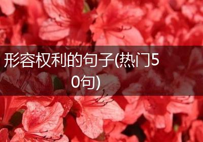形容权利的句子(热门50句)