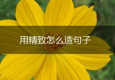 用精致怎么造句子