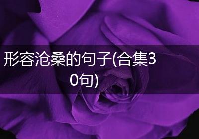 形容沧桑的句子(合集30句)