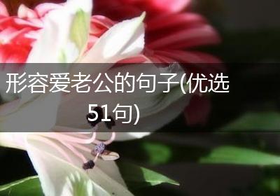 形容爱老公的句子(优选51句)