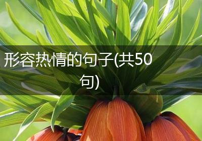 形容热情的句子(共50句)