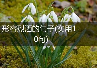 形容烈酒的句子(实用10句)