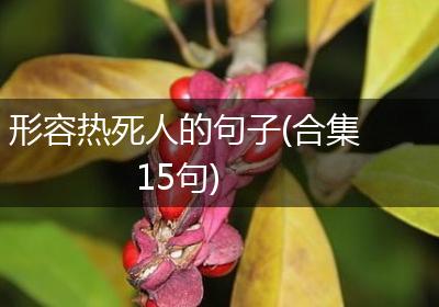 形容热死人的句子(合集15句)