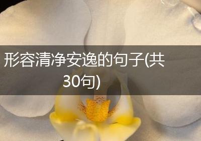 形容清净安逸的句子(共30句)