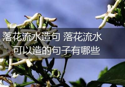落花流水造句 落花流水可以造的句子有哪些