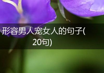 形容男人宠女人的句子(20句)