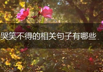 哭笑不得的相关句子有哪些