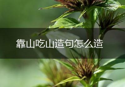 靠山吃山造句怎么造
