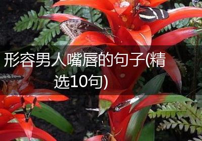 形容男人嘴唇的句子(精选10句)