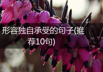 形容独自承受的句子(推荐10句)