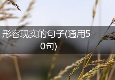 形容现实的句子(通用50句)
