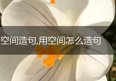 空间造句,用空间怎么造句