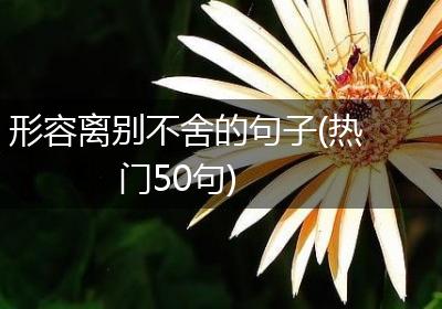 形容离别不舍的句子(热门50句)