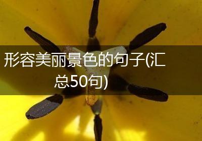 形容美丽景色的句子(汇总50句)