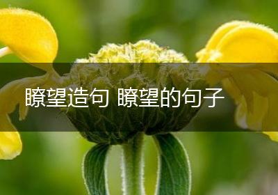 瞭望造句 瞭望的句子