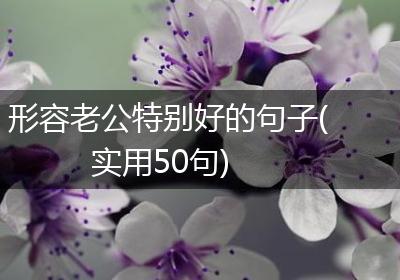 形容老公特别好的句子(实用50句)