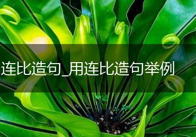 连比造句_用连比造句举例