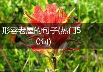形容老屋的句子(热门50句)