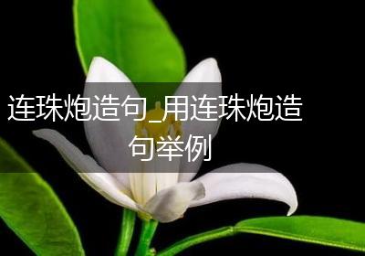 连珠炮造句_用连珠炮造句举例