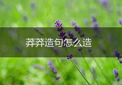 莽莽造句怎么造