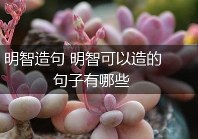 明智造句 明智可以造的句子有哪些