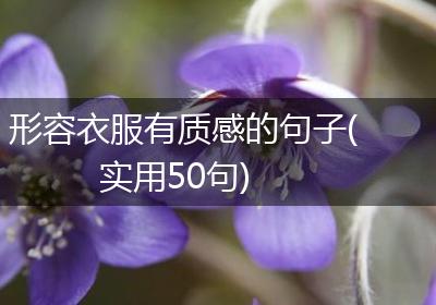 形容衣服有质感的句子(实用50句)