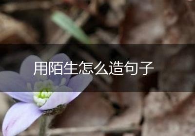 用陌生怎么造句子