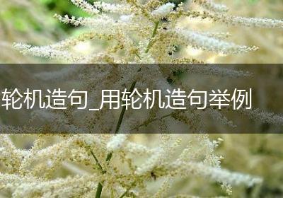 轮机造句_用轮机造句举例