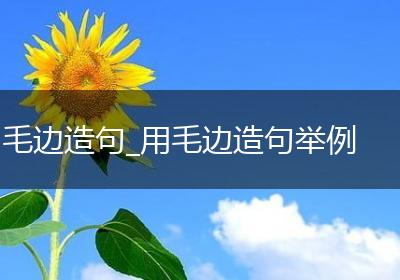 毛边造句_用毛边造句举例