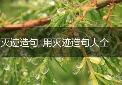 灭迹造句_用灭迹造句大全