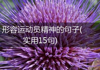 形容运动员精神的句子(实用15句)