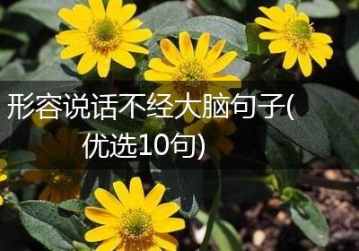 形容说话不经大脑句子(优选10句)