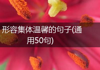 形容集体温馨的句子(通用50句)