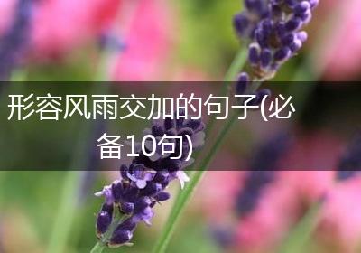 形容风雨交加的句子(必备10句)