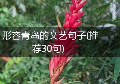 形容青岛的文艺句子(推荐30句)