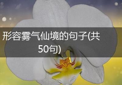 形容雾气仙境的句子(共50句)