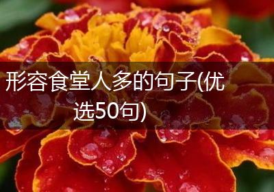形容食堂人多的句子(优选50句)