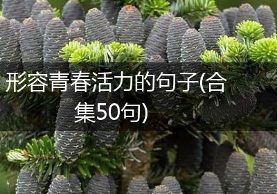 形容青春活力的句子(合集50句)