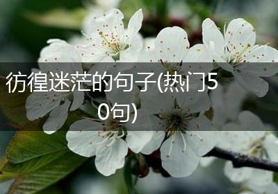 彷徨迷茫的句子(热门50句)