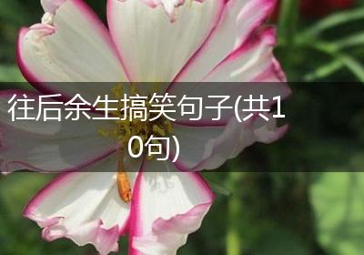 往后余生搞笑句子(共10句)