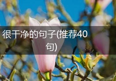 很干净的句子(推荐40句)