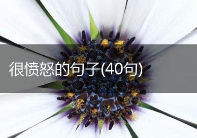 很愤怒的句子(40句)